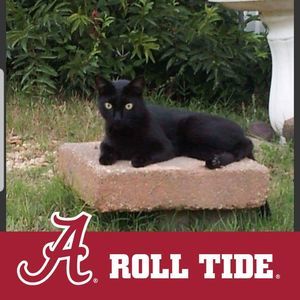 Meet your Posher, Debra